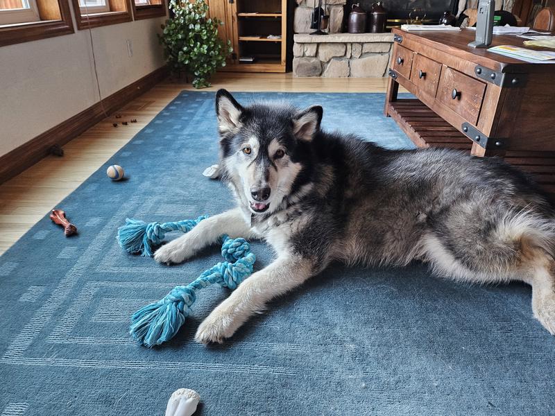 This is my rope