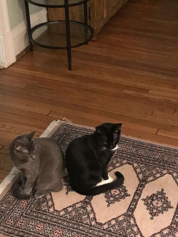 My two bookends