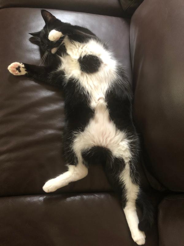 So Phresh Jute Cat Litter Mat & Paw Cleaner 24"x36"