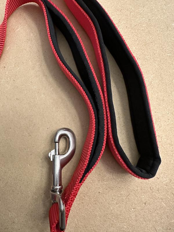 Youly Red Polyester/Nylon Dog Leash - YULY-3/8-ftX6-ft Lead RD -  Comfortable Grip - Suitable for Any Size Dog - Easily Clips to Collars or  Harnesses in the Pet Leashes department at