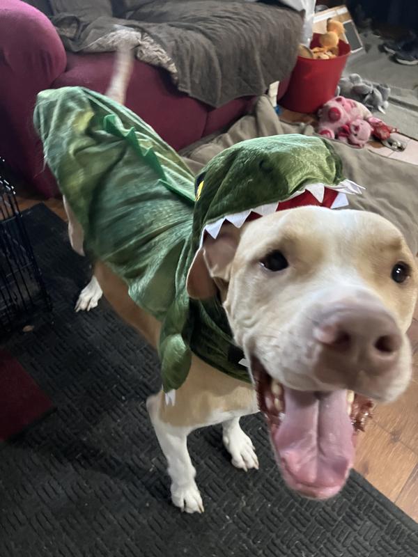 The costume stays on even with his wiggling.