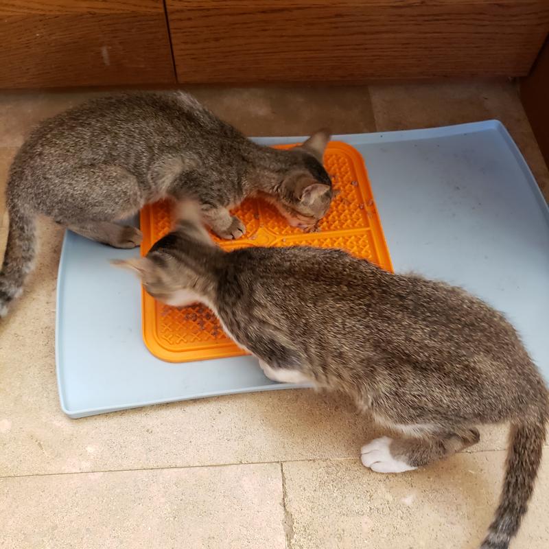 Pet Zone® Boredom Busterz™ Blue Duo Slow feeder Licking Mat