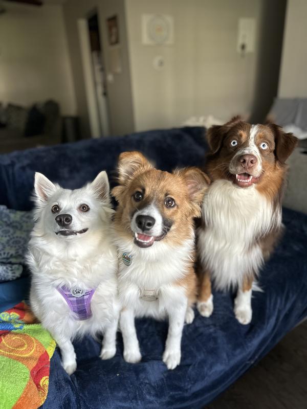 All smiles 😀