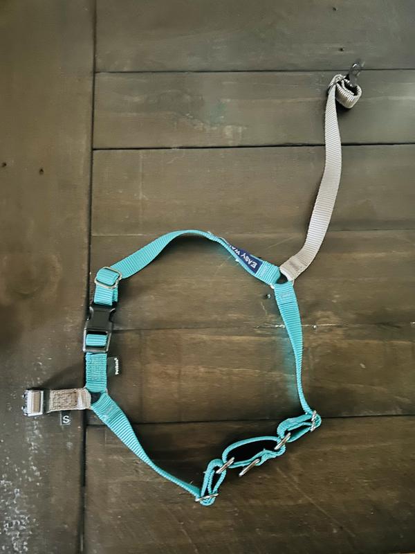 Harness with Martingale