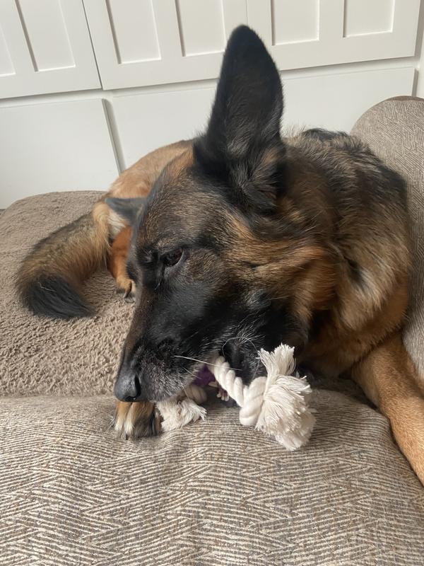 Chewy rope toy