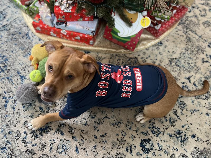 Pets First MLB American League East T-Shirt for Dogs, Small, Boston Red Sox