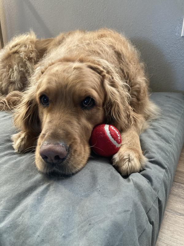 Just loves her new ball!
