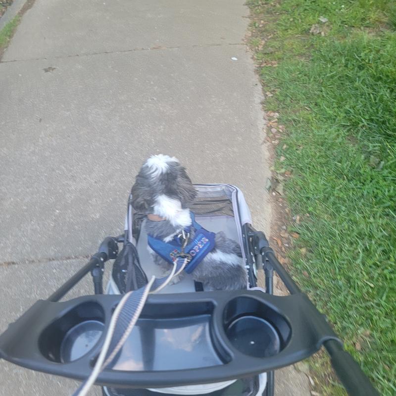 Cooper needed a break!