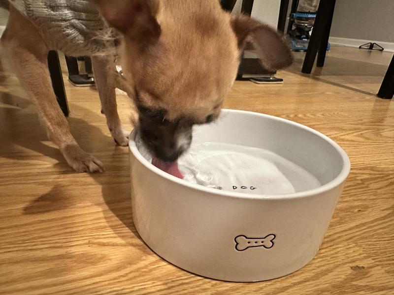 My lady loves her water!