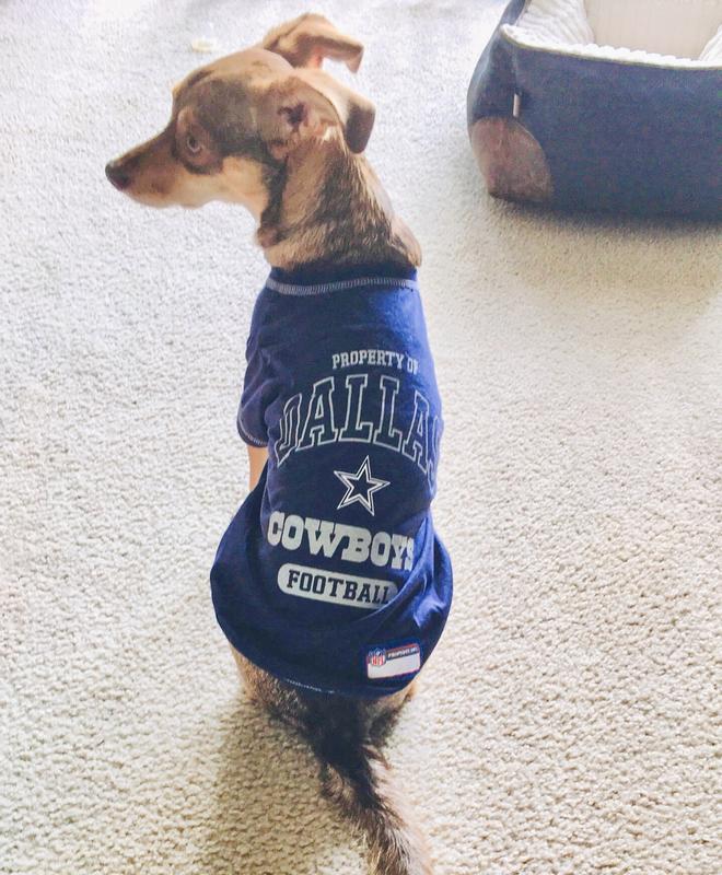 Pets First NFL Dallas Cowboys Pet T-Shirt. Licensed, Wrinkle-free, Tee Shirt  for Dogs/Cats. Football Shirt 