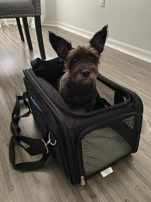 Pet carrier cheap 13x13x8