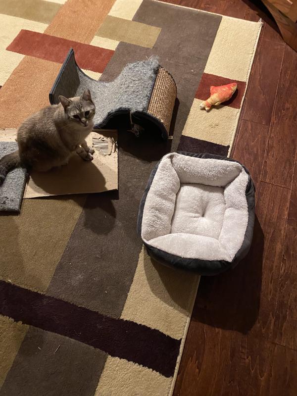 Bed out of the box requires cautious inspection