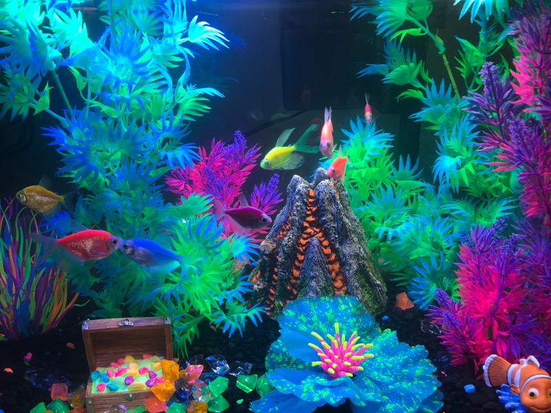 Glofish store aquarium decorations