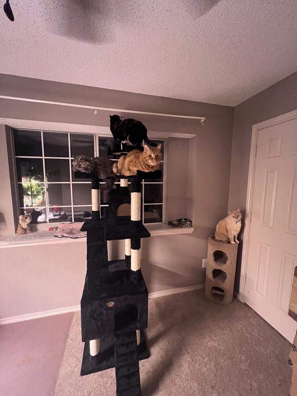 Go Pet Club 72"Cat Tree Condo with Two Ladders, Black Petco