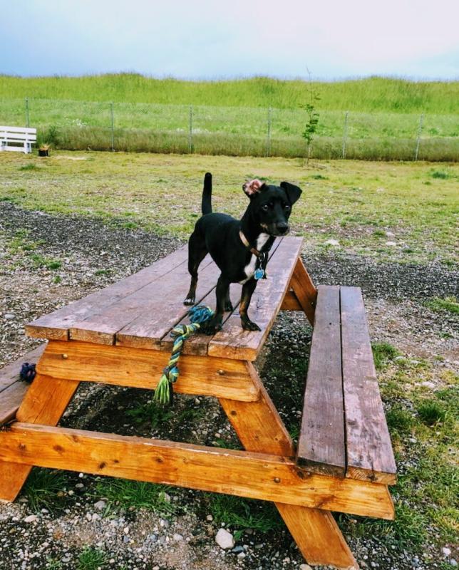 King of the park! Wilson P.