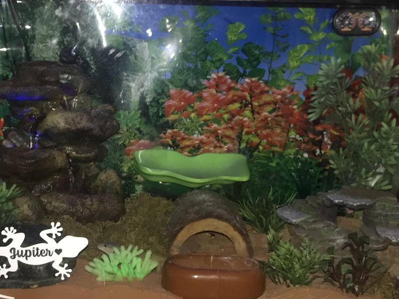 thumbnail image 2 of ZOO MED Repti Rapids LED Waterfall – Small Rock Design, 7.25 X 5.5 X 11 In, RR-21 2 of 6