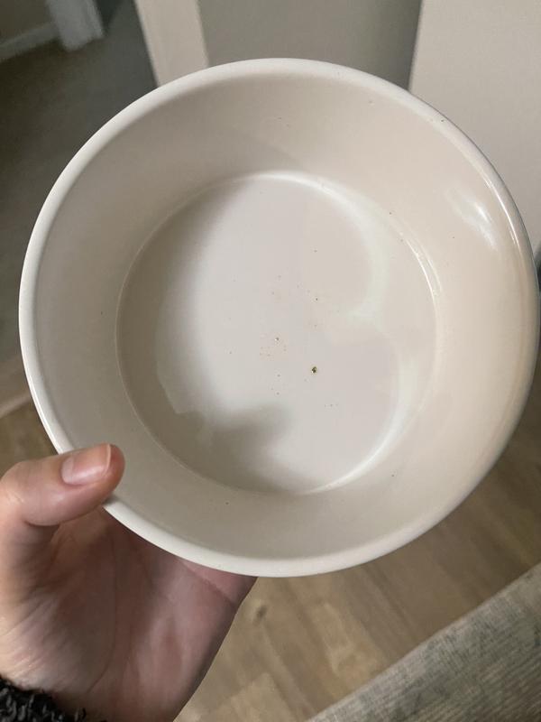 Clean bowl! :)