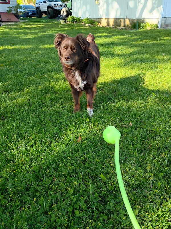 Ready for play