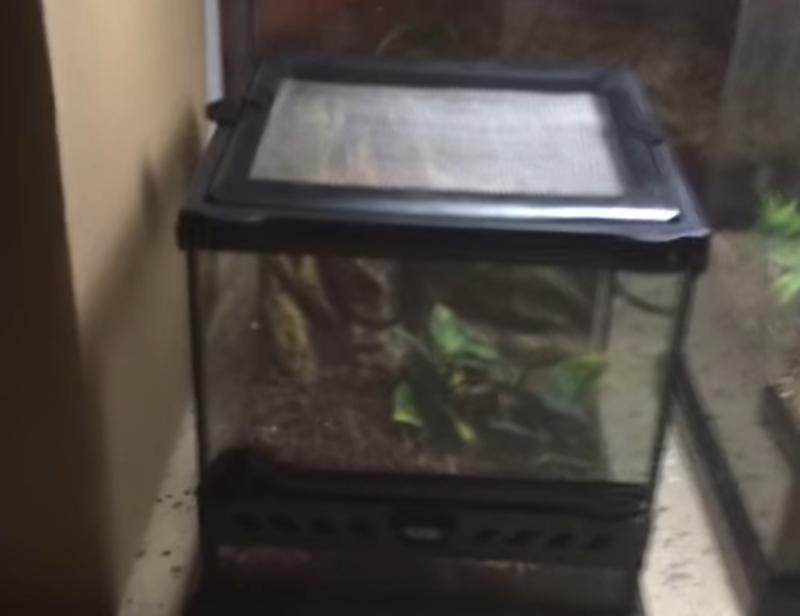 Health Supplies Exo Terra Nano Wide Terrarium 8x8x8 Reptiles & Amphibians