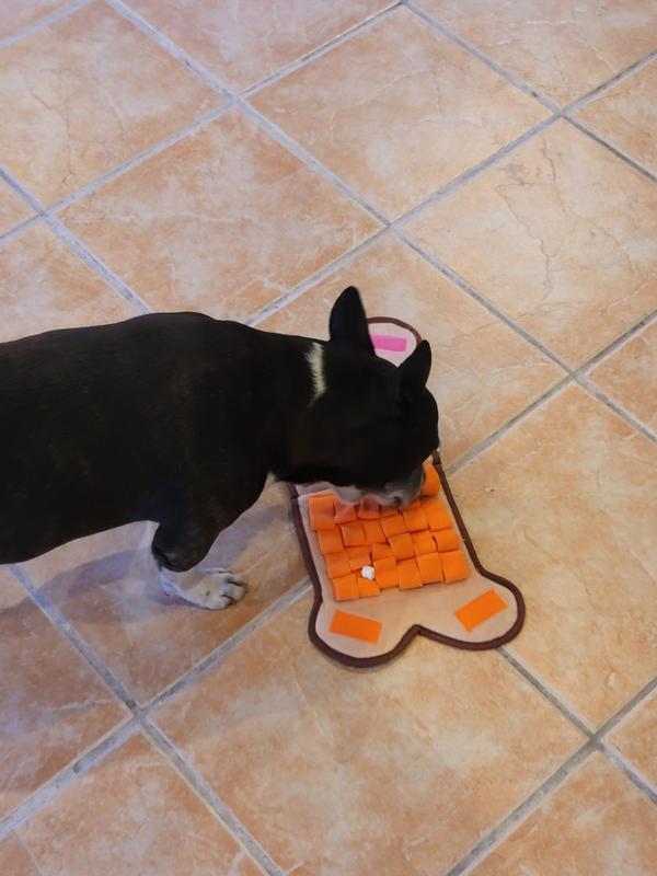 Doggo enjoys accesible snacks!