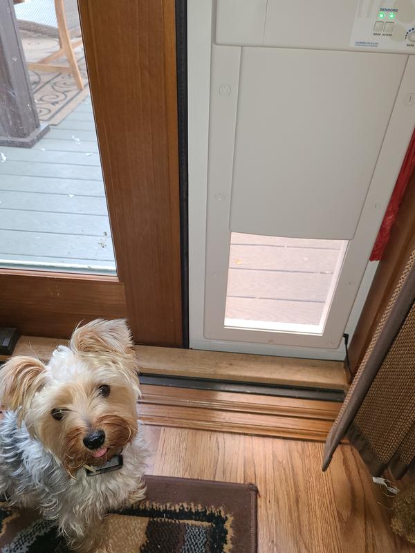 She runs in and out all day onto the deck