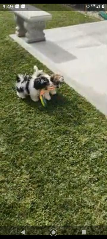 Photo - commentaire&nbsp;8.