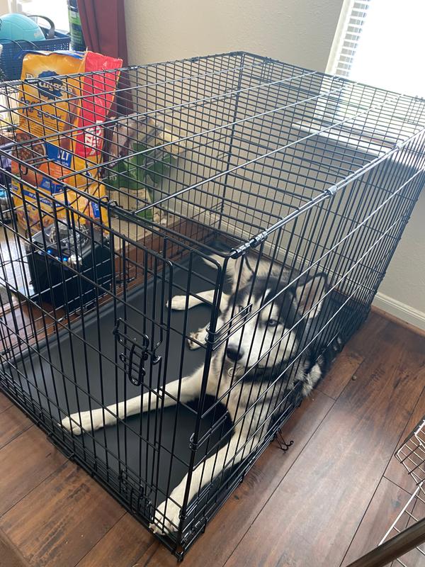 petco animaze crate