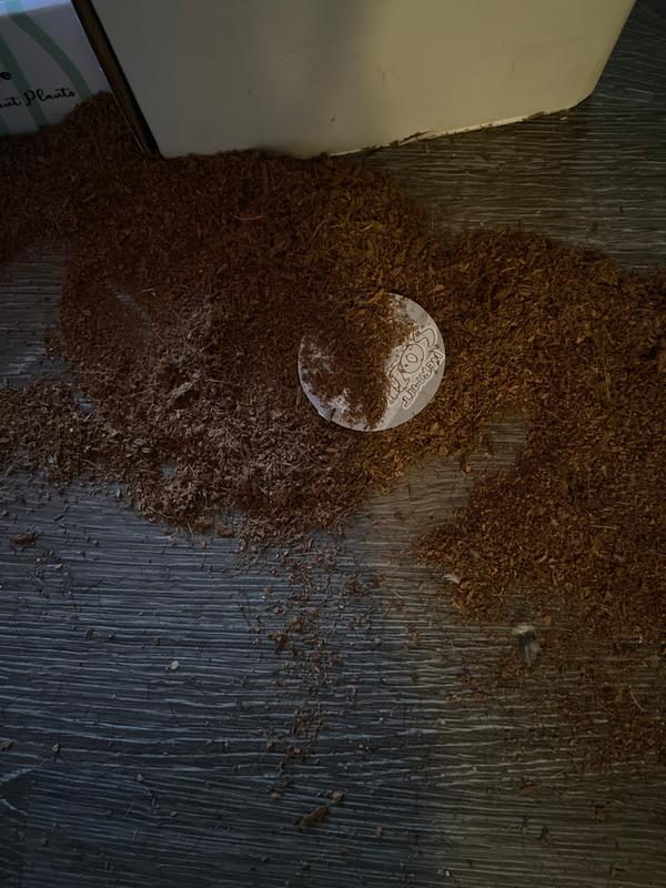 It ended up being more substrate than I anticipated, which was great. But my Doberman knocked it all over so I’m hoping to be able to still use most of it.