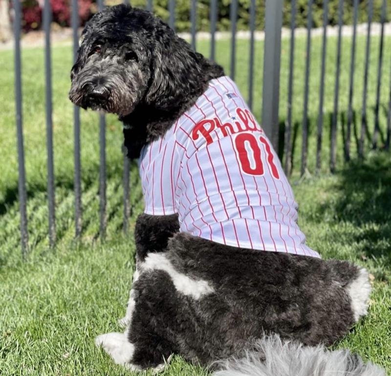 Pets First Bryce Harper Jersey (PHP) for Dogs, X-Small