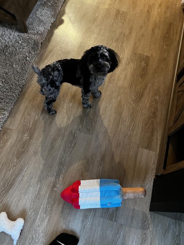 Bark Rocket Pupsicle Plush Dog Toy