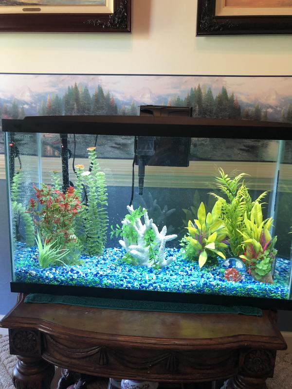 29 gallon hotsell aquarium kit