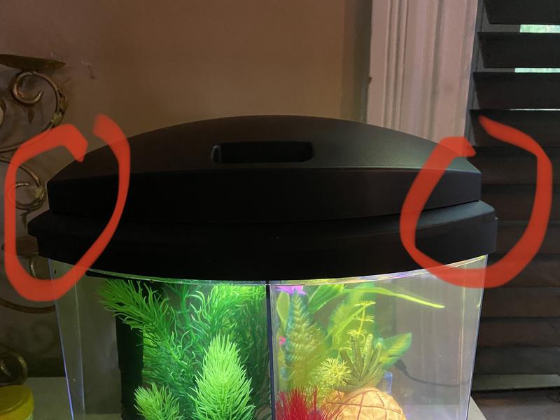 Lid