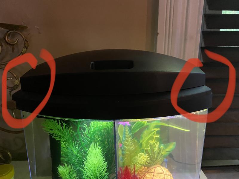 2.5 fashion gallon fish tank petco