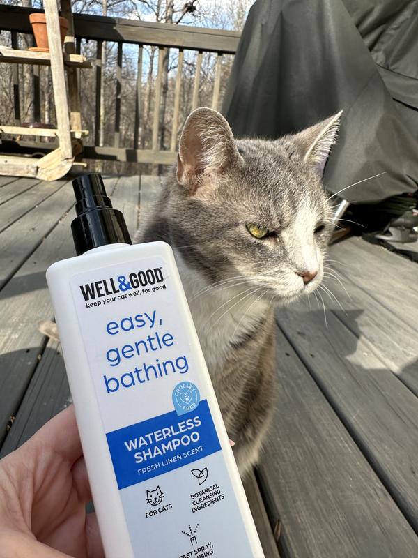 No water clearance shampoo for cats