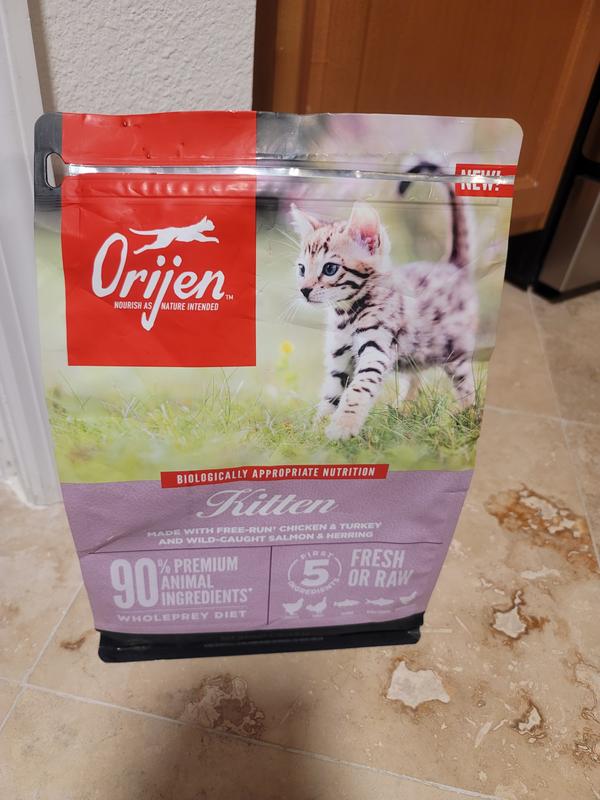 ORIJEN Grain Free Premium High Protein Dry Kitten Food 4 lbs. Petco