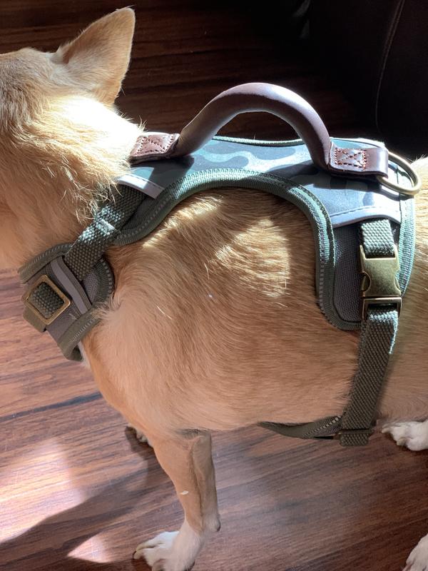 comfortably wraps around her chest area