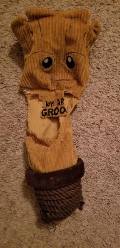 baby groot dog toy