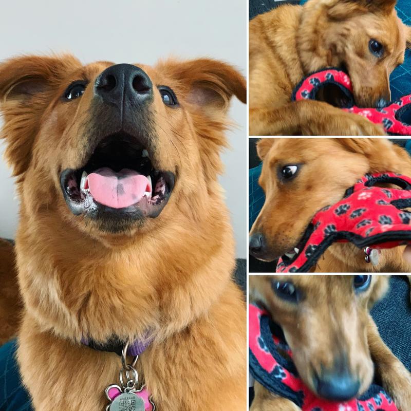 TUG!!