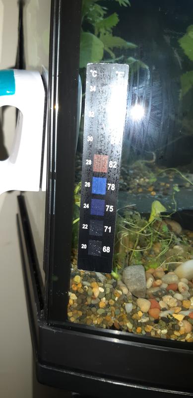 Imagitarium Small Aquarium Thermometer