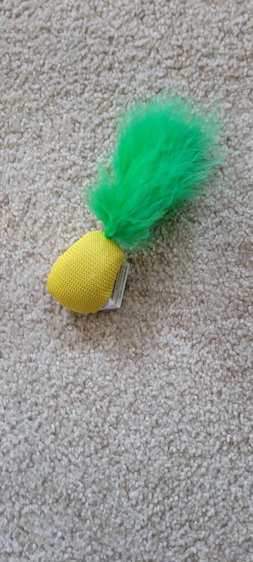Pineapple toy
