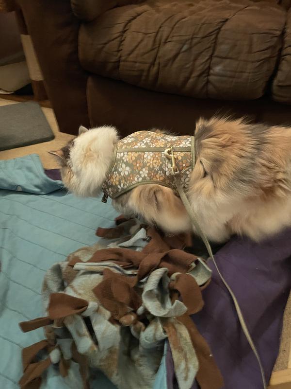 YOULY Retro Floral Cat Harness & Leash Set S/M