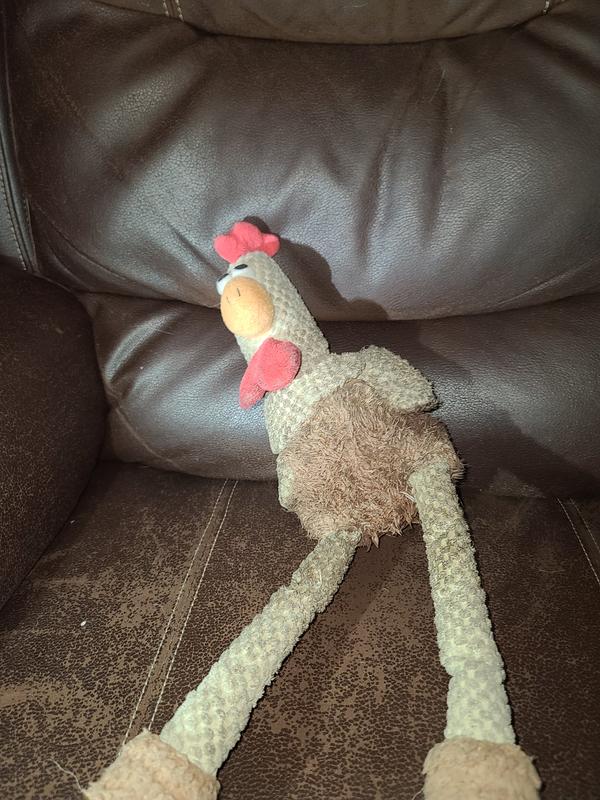 Go dog chicken outlet toy