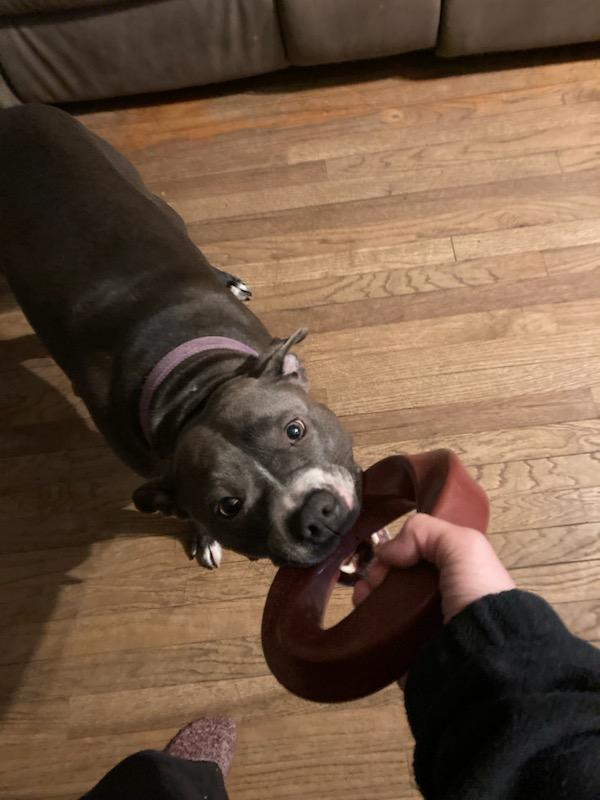Great for tug!