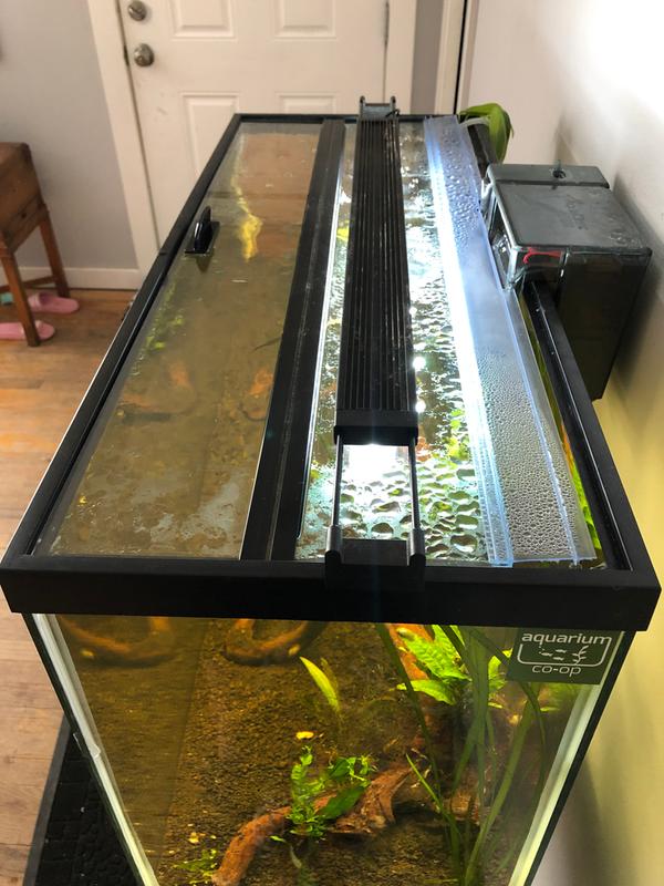 aquarium glass top