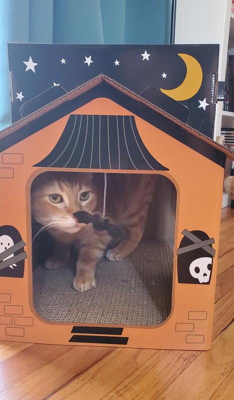 Photo - commentaire 3.