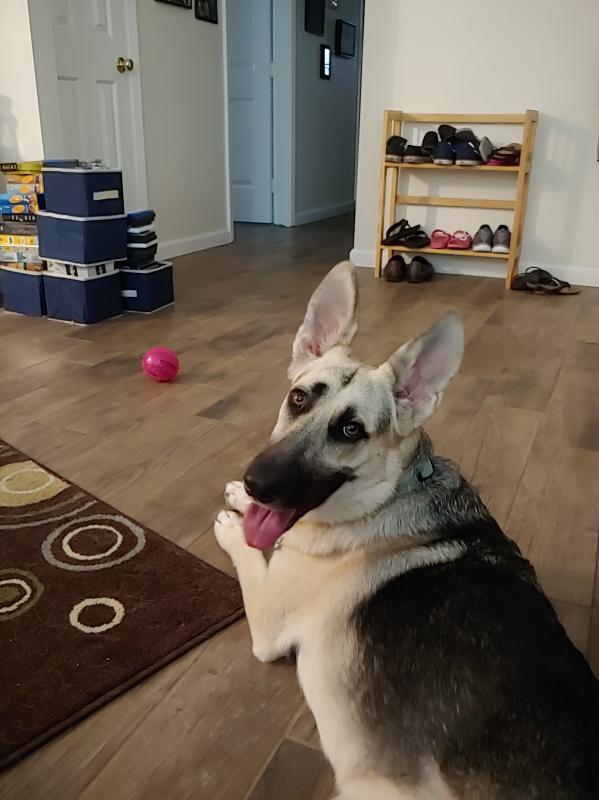 Photo - commentaire&nbsp;3.