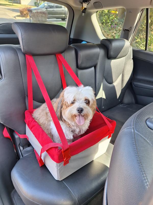 My dog fits comfortably. He's 15lbs