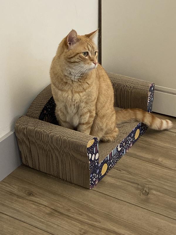 Cardboard couch hotsell cat scratcher