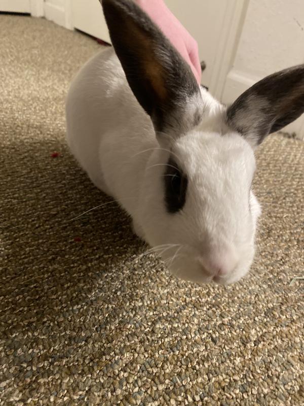 Mr. Freya :)