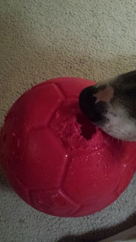 jolly soccer ball petco